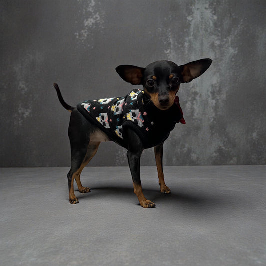 MI&DOG JERSEY PUNTO ESTAMPADO SKULLS(T.25)